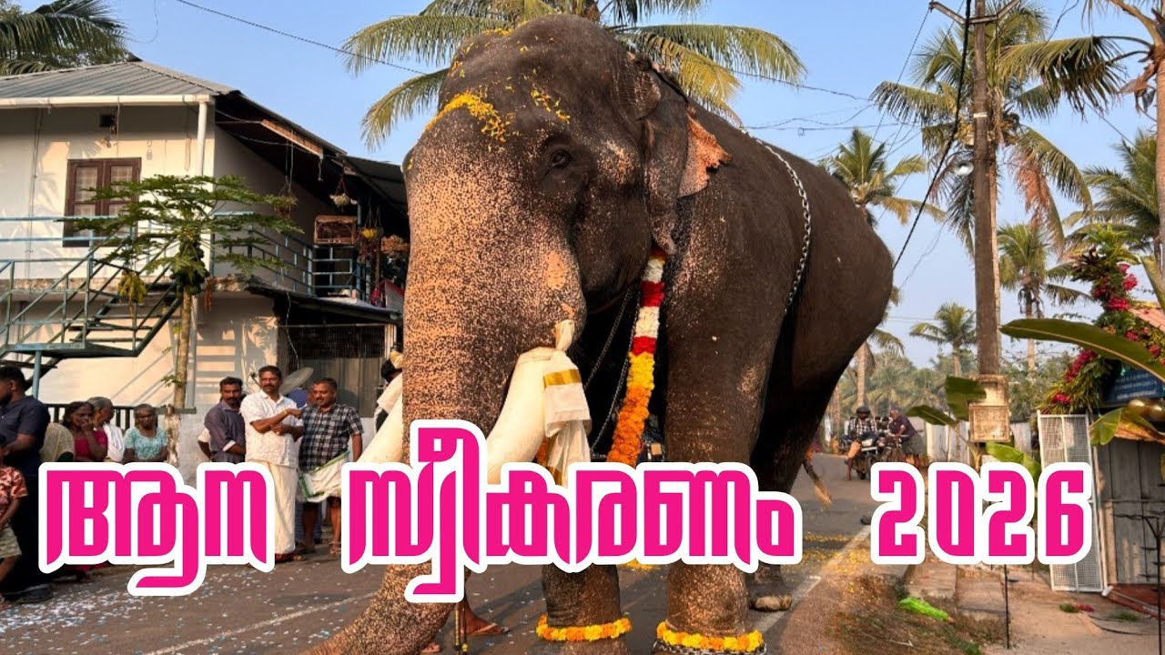 ആന സ്വീകരണം കാണാം