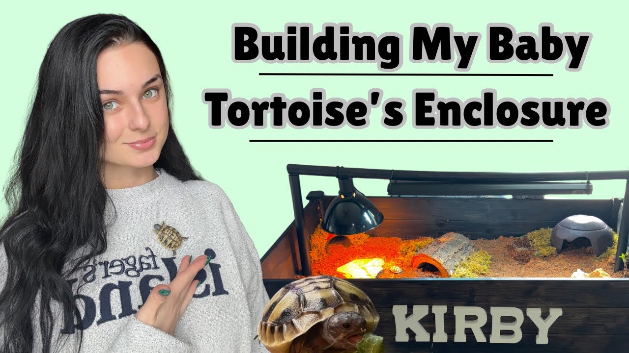 Building My Baby Tortoise&rsquo;s  Enclosure!!