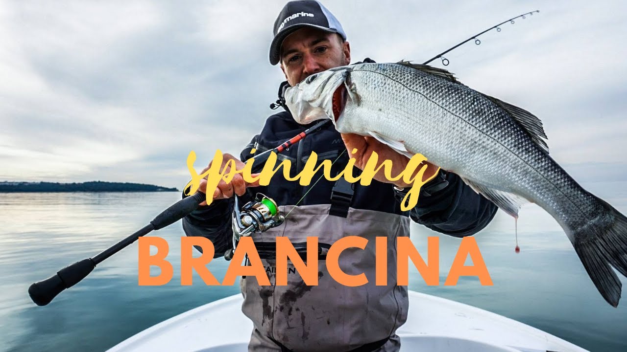 SPINNING BRANCINA