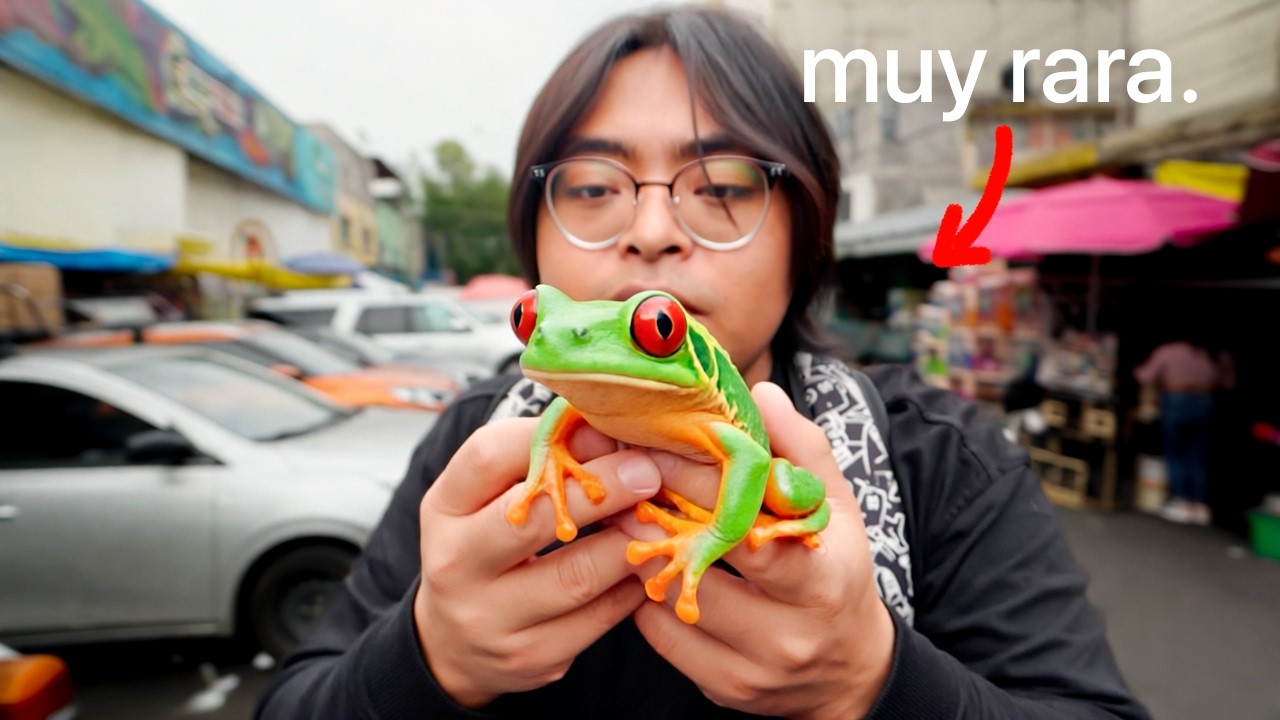 Buscando las variedades de Ranas más PELIGROSAS y Raras del mercado de Peces Morelos