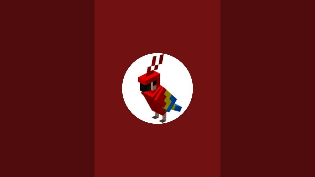 Xpapuga nadaje na żywo