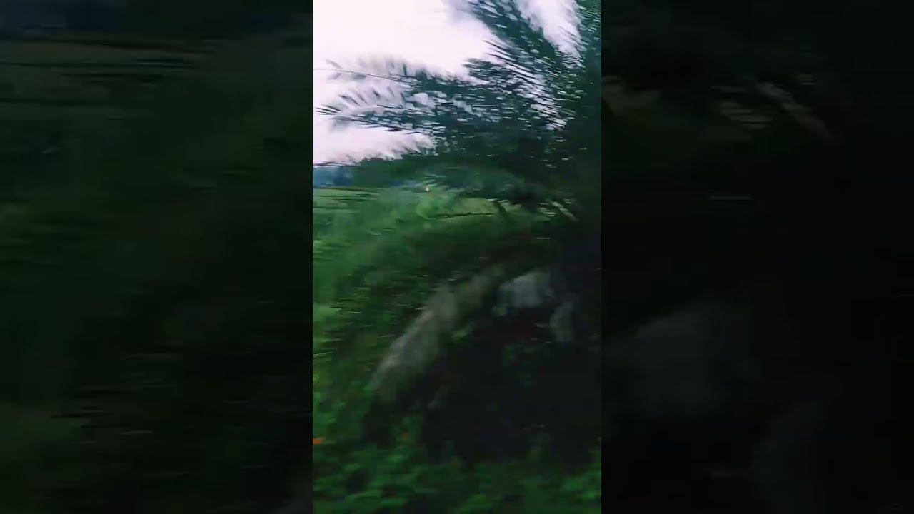 Amazing view Chhindwara - Amla route  @Gkv2_vlogs    @Madhya Pradesh Tourism  Indian railways