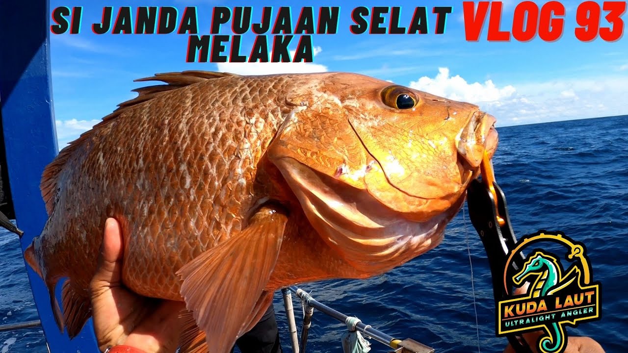 VLOG 93 | TEKNIK JIGGING JENAHAK WAKTU MALAM | GODAAN MAK JANDA SELAT MELAKA | TKLFA