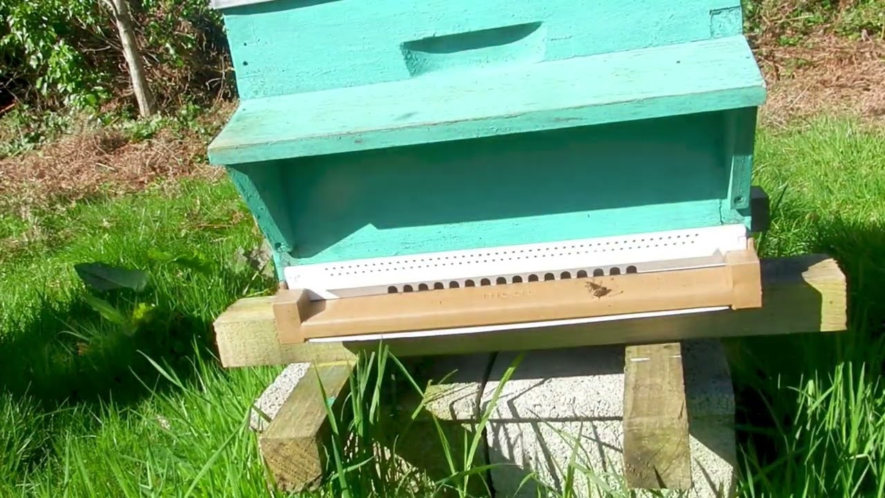 Comment faire partie de ma communauté abeilles et jardin pose des portières et plantation d'oignons