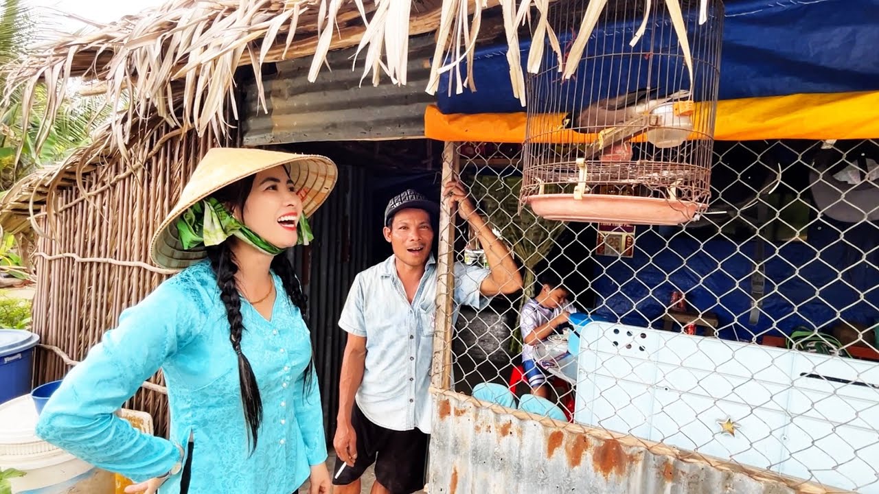 Núi leo dừa khoe con sáo biết nói chuyện cho em gái Tâm Như chiêm ngưỡng và cái kết