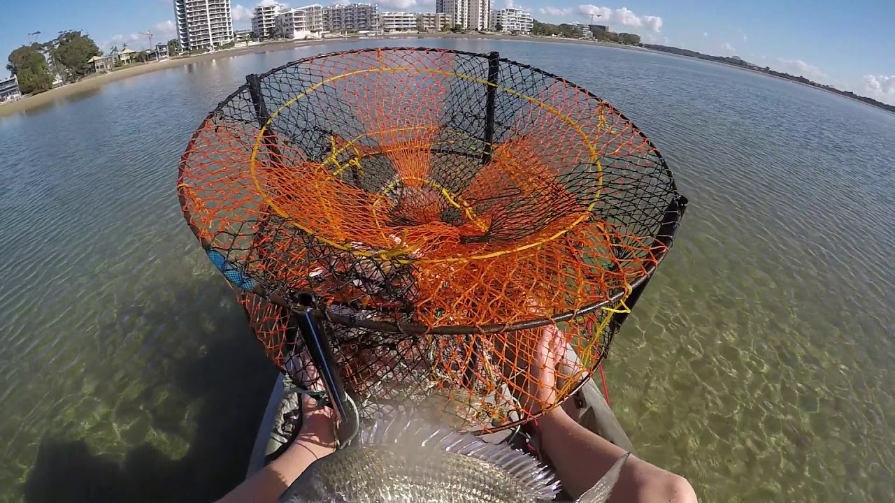 Fishing in the Maroochy River