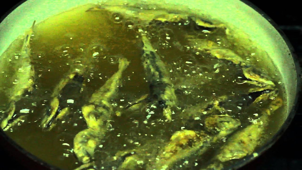 GASPACHO // Restaurante O Chico - Ferreira do Alentejo