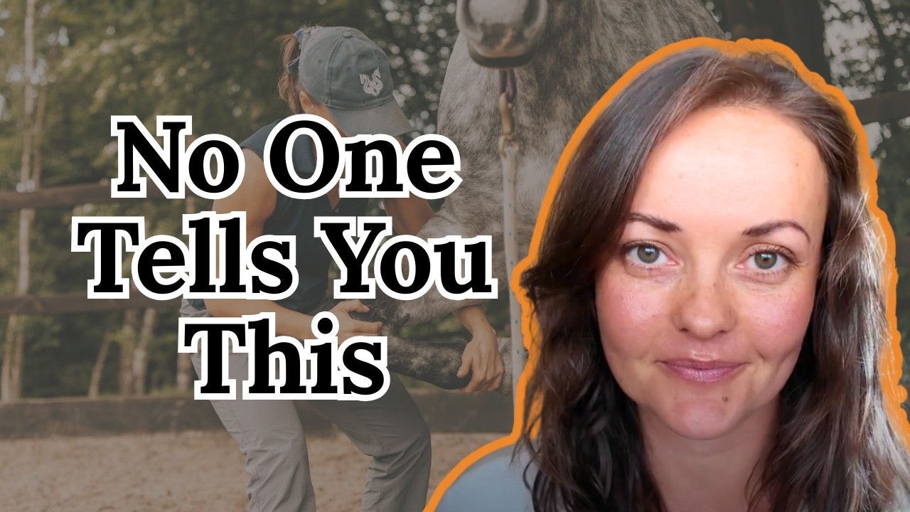 Everything You Need to Know About Horses (It’s Not What You Think)