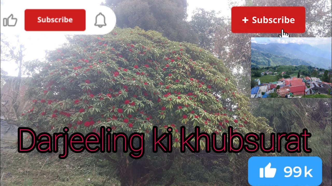 Darjeeling ki khubsurat view enjoy video 🚀🙏#view #highlights #YouTube🚀🙏🙏🙏