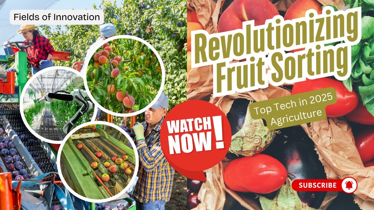 4 - Revolutionizing Fruit Sorting: Top Tech in 2025 Agriculture