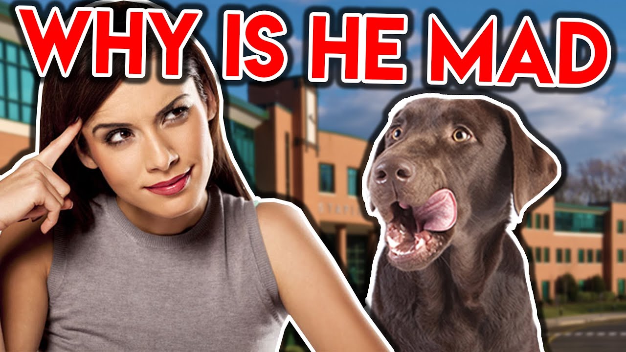 HIS GIRLFRIEND STOLE HIS DOG...