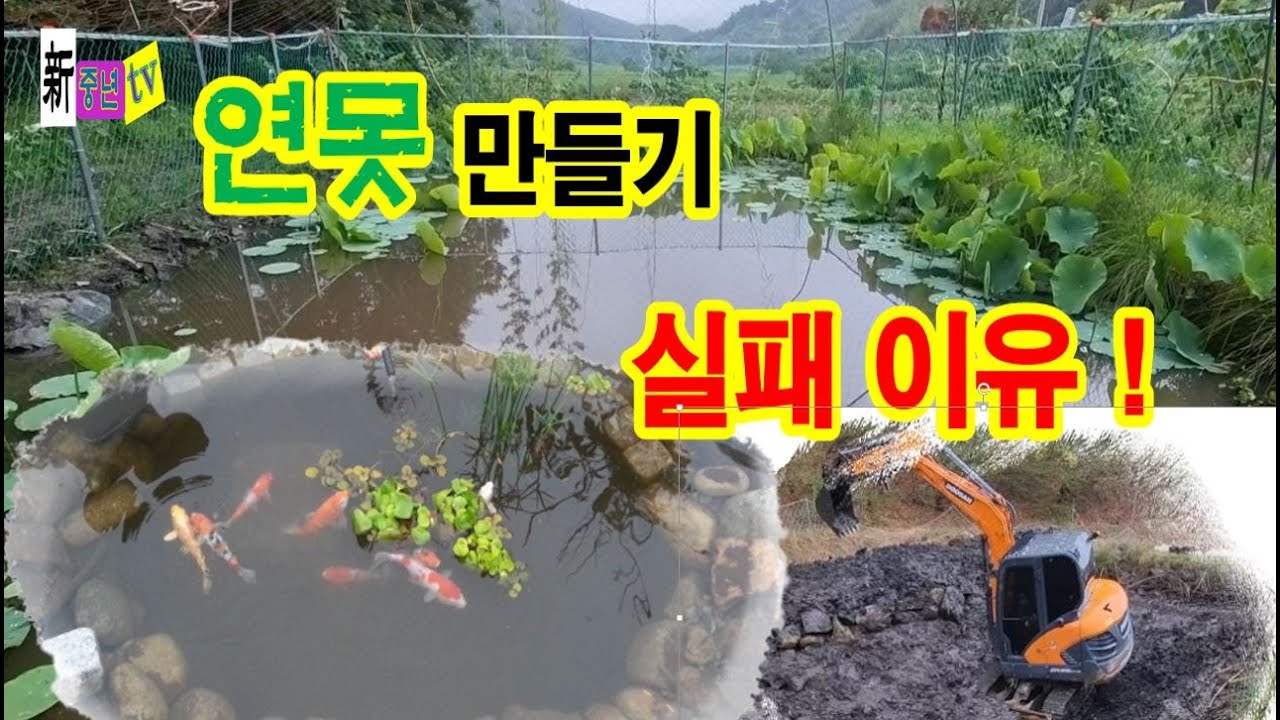 시골 연못만들기 실패한 이유 2가지