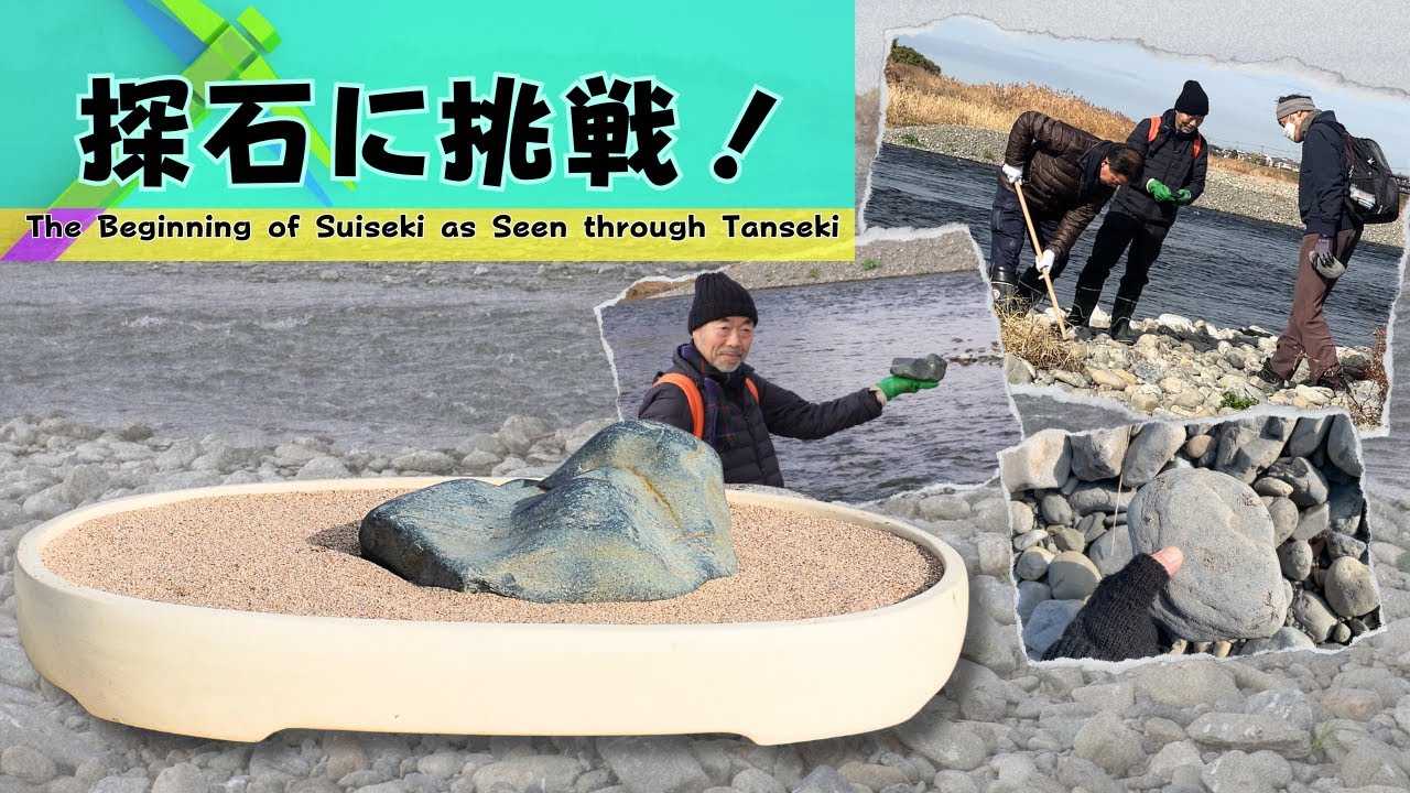 探石から見る水石の始まり～百年先の名石を求めて～