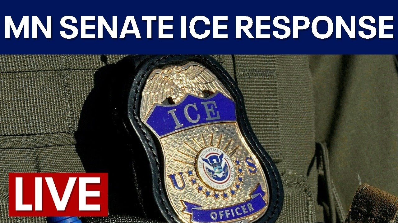 LIVE | MN Senate hearing on citizen rights after ICE surge