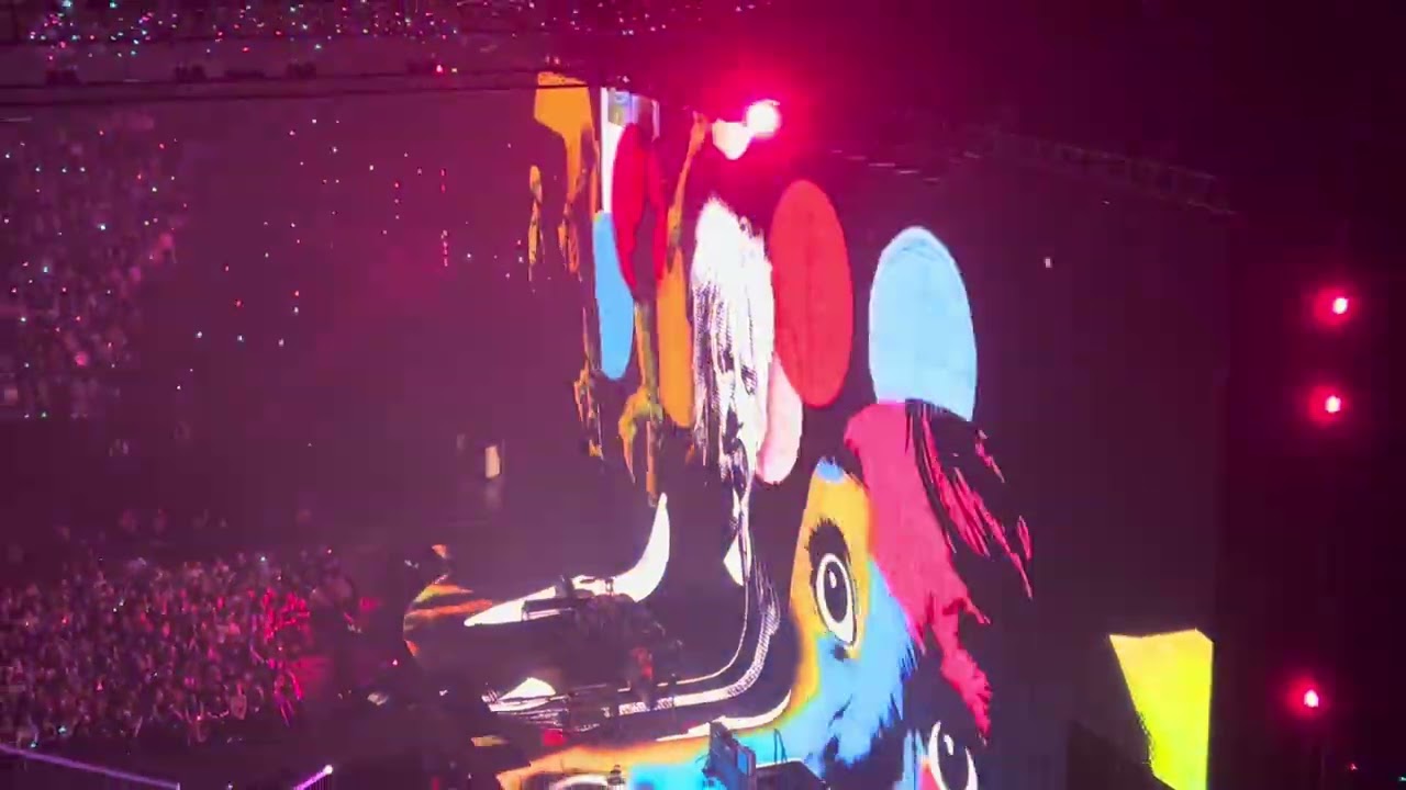 Extrait - Mao boy - Indochine Arena tour vague 2 Paris 5 