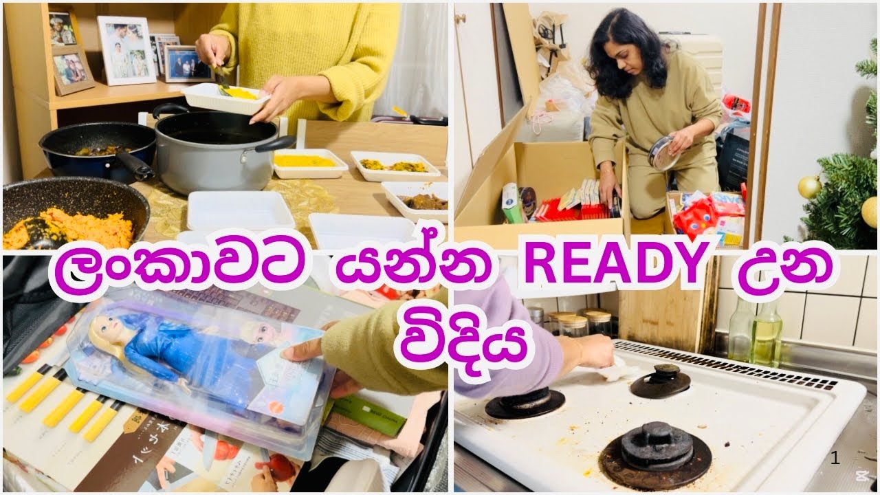 මම ශ්‍රී ලංකාවට යන්න බෑග් පැක් කරපු විදිය 🇱🇰 Husband ට දවස් 10 කට එකවර කෑම හැදුවා 🍽️ & CLEAN HOME 🧼