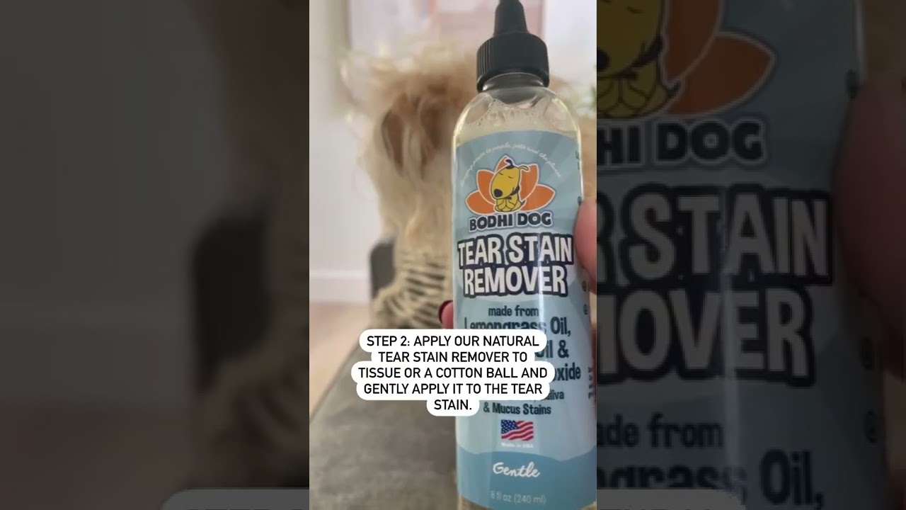 3 easy steps to eliminate your pups tear stains!