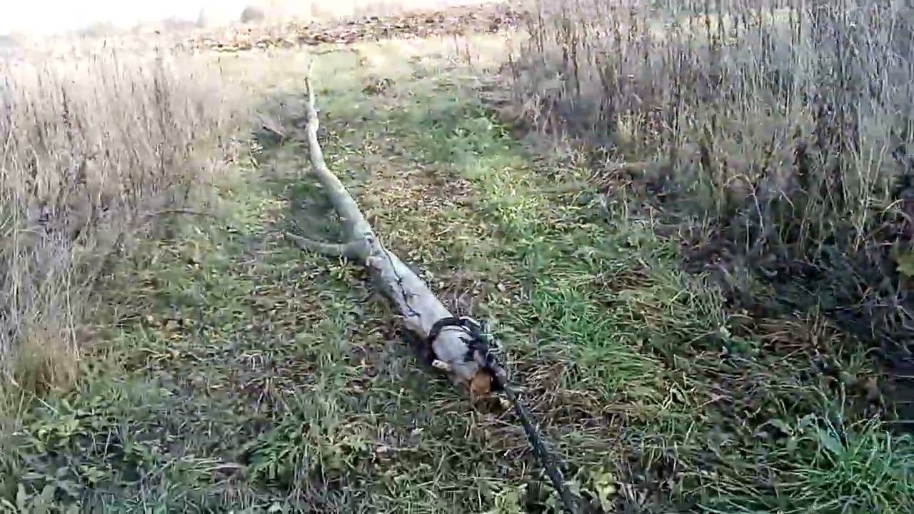 самодельный гусеничный трактор. тестдрайв на тягу