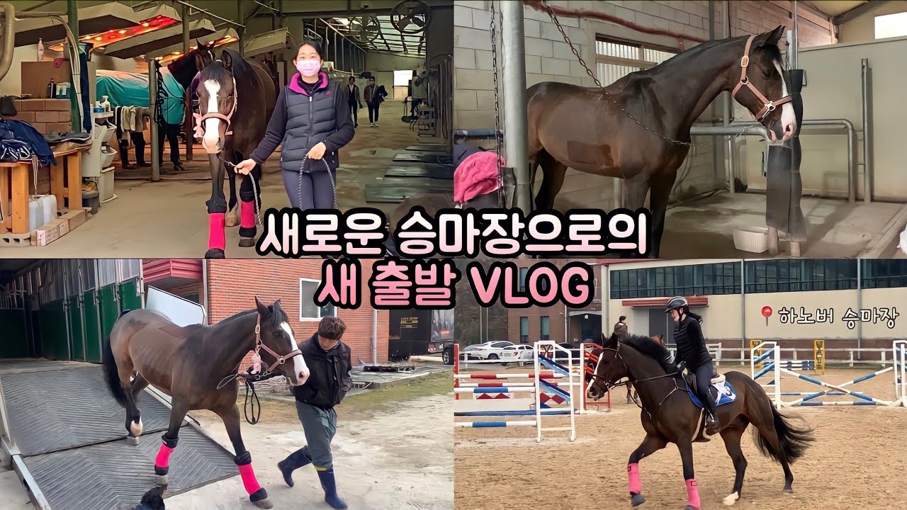 새로운 승마장으로의 새 출발 vlog🍀