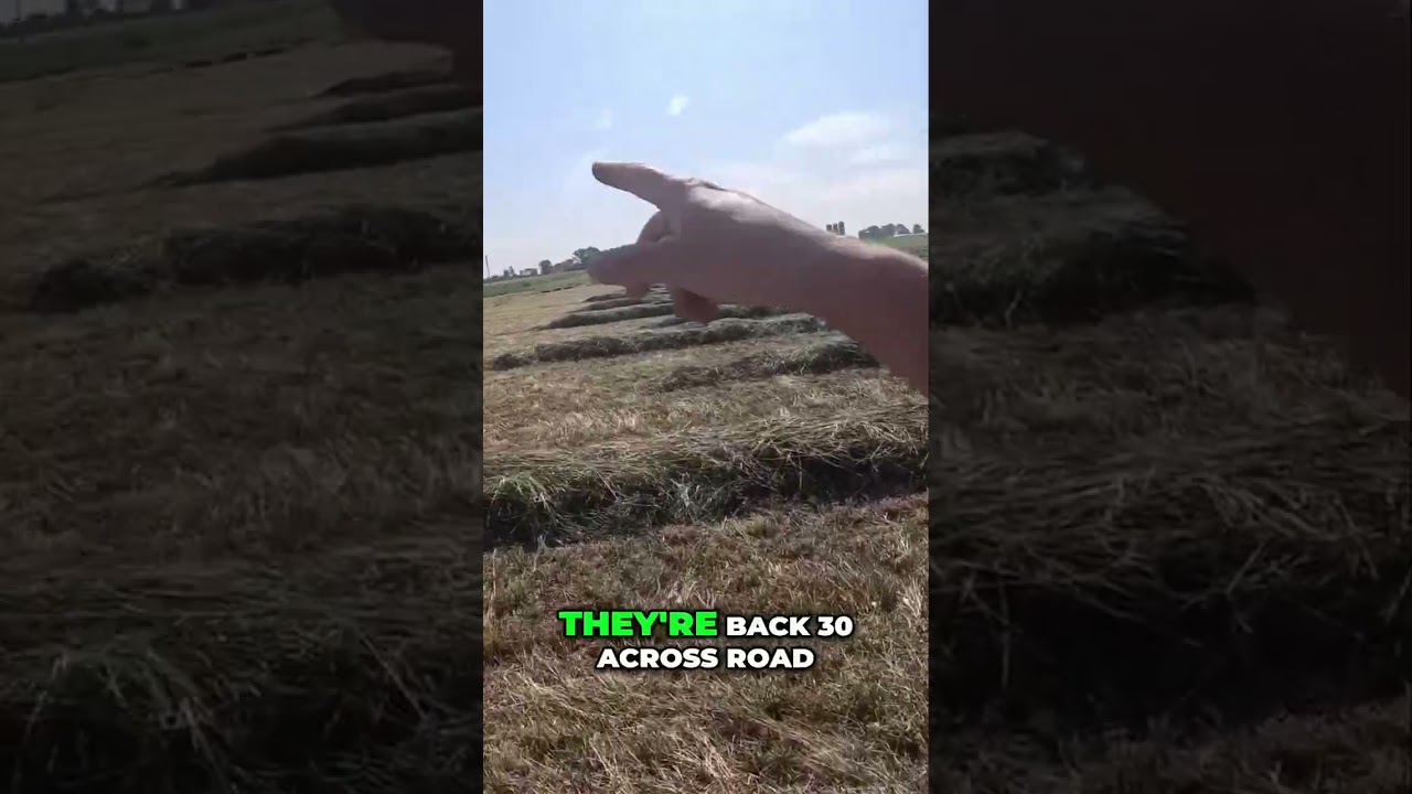 Hay Cutting: Farm Life Explained in Seconds! 