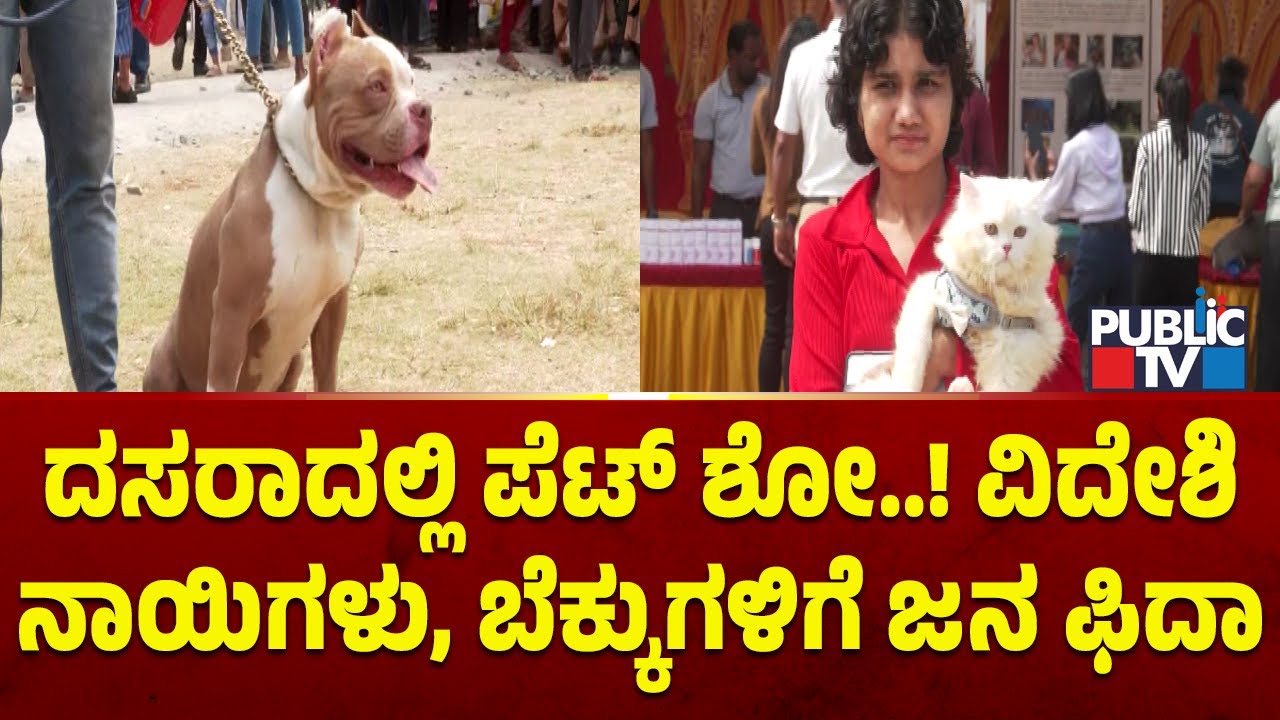 Pet Show Organized In Mysuru On Account Of Dasara | Public TV
