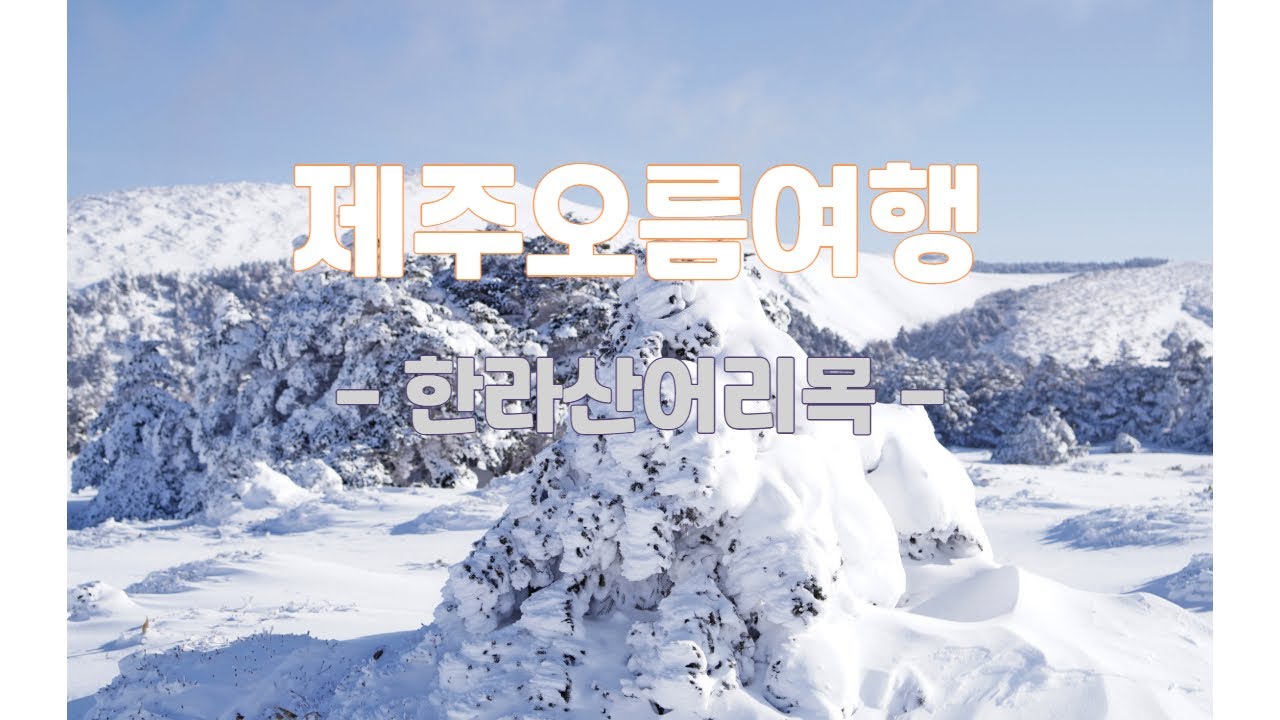 ✅ 한라산 눈꽃산행 어리목 코스 #한라산 #한라산어리목 #윗세오름 #jejuisland #한라산코스