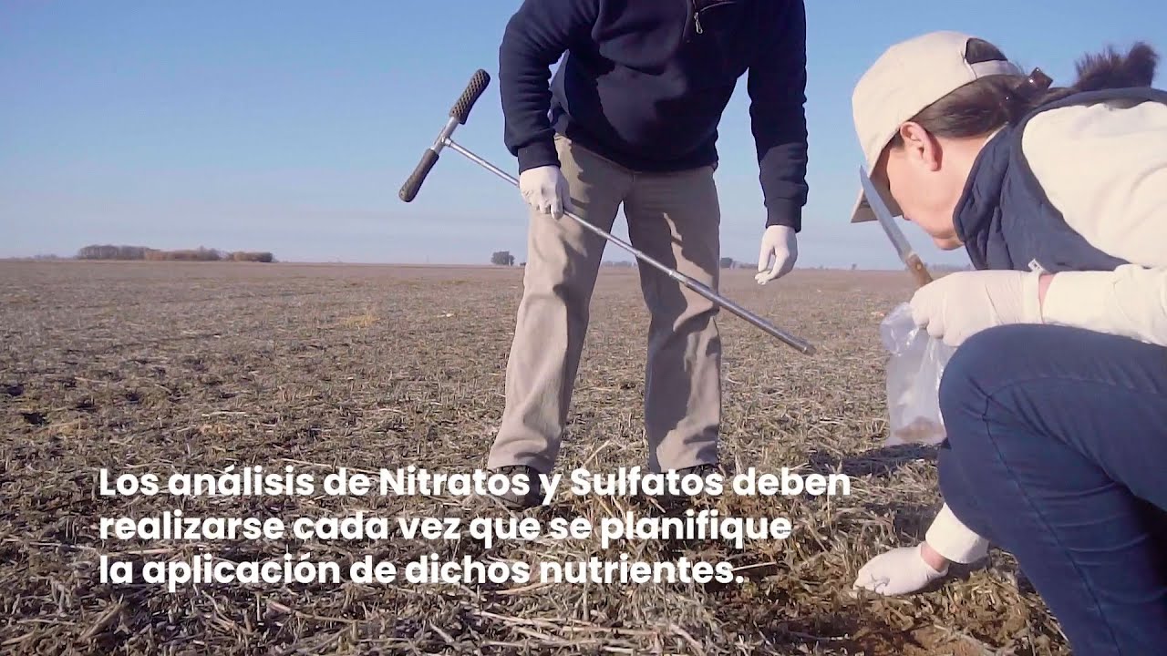 Muestreo de suelo para análisis de fertilidad química