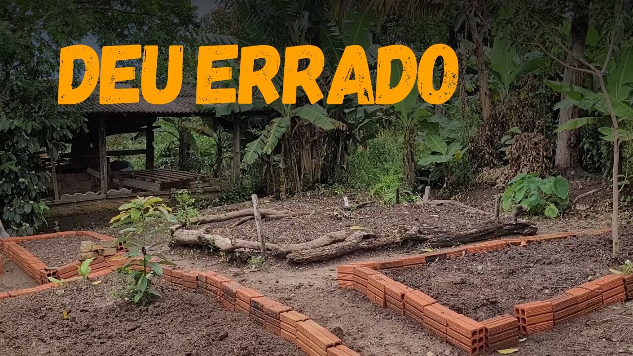 14 | Horta no quintal da chácara - Começamos de novo