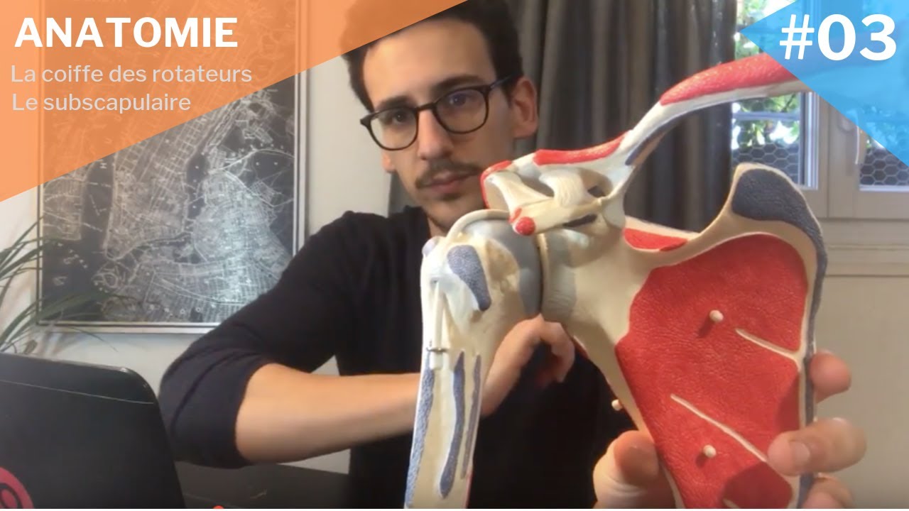 Myologie #03 : Le subscapulaire