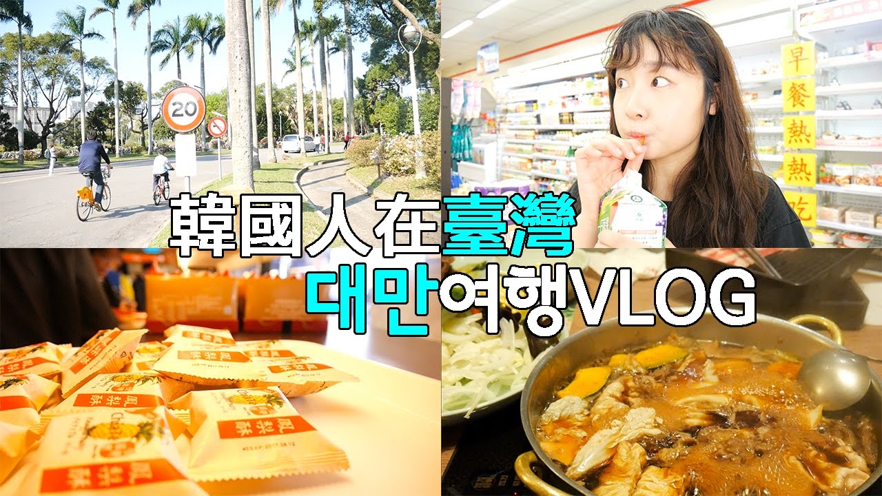 ⎮韓國人在臺灣⎮國定假日😓..! 대만여행Vlog 국경일을 주의합시다 (스키야키.대만대. 펑리수)