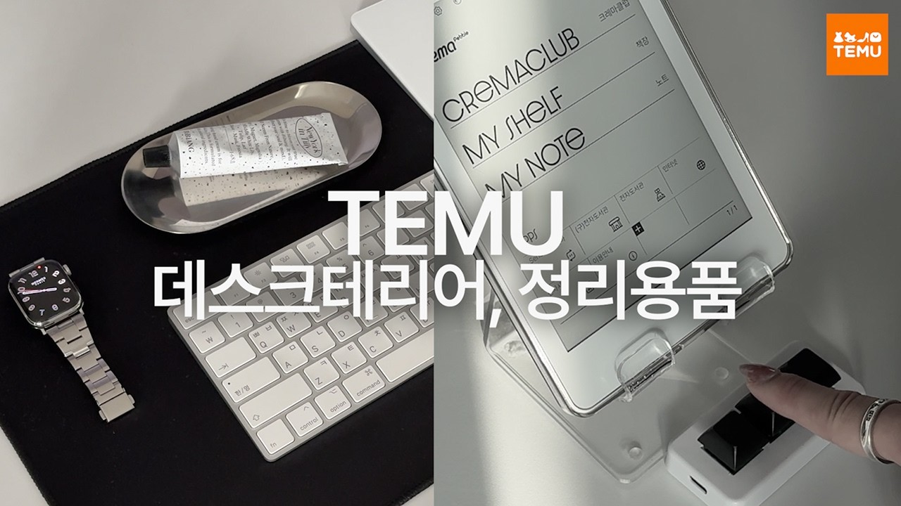 책상 꾸미기 신세계 🪴 테무 데스크테리어 & 정리 아이템 하울 | 가성비 최고 테무 꿀템 모음