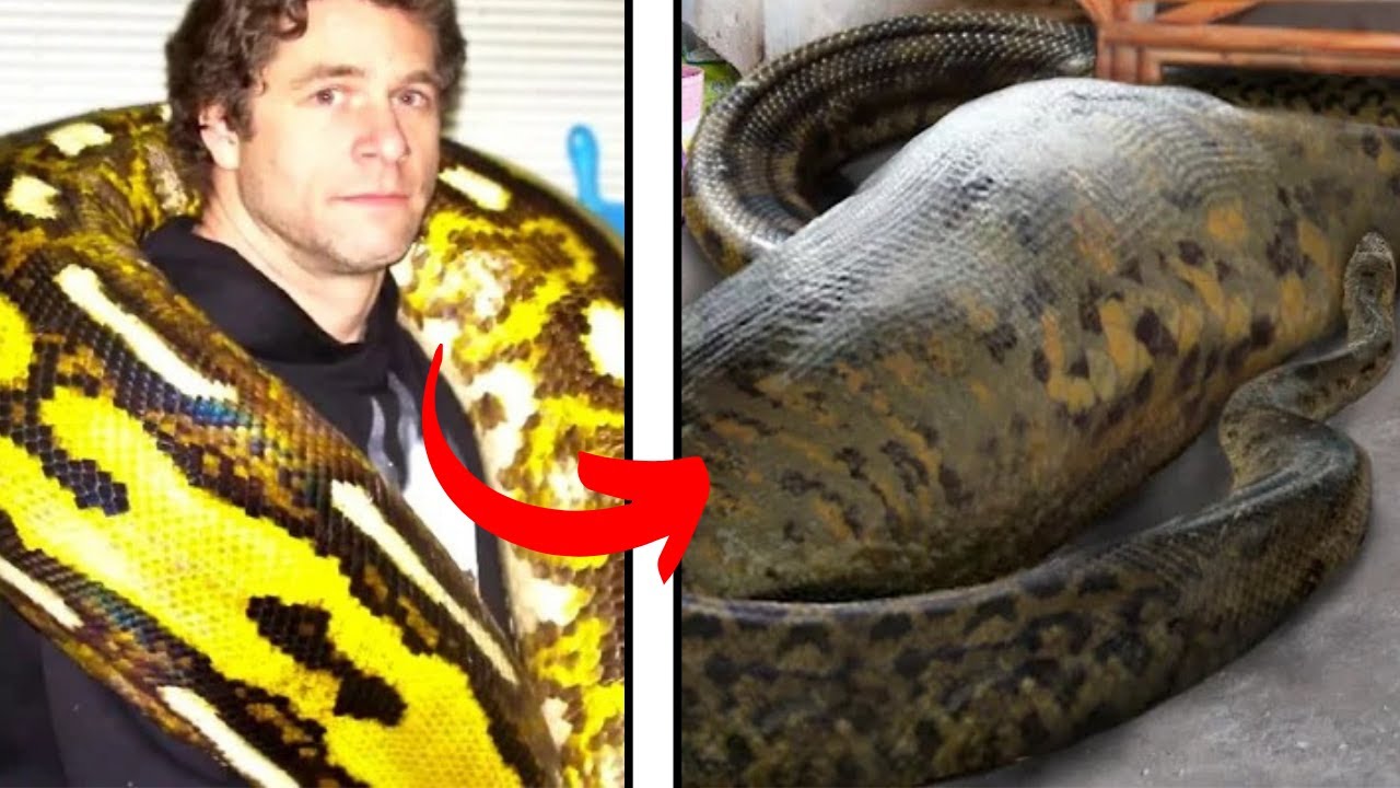 8 People Who Regret Having Dangerous Pets