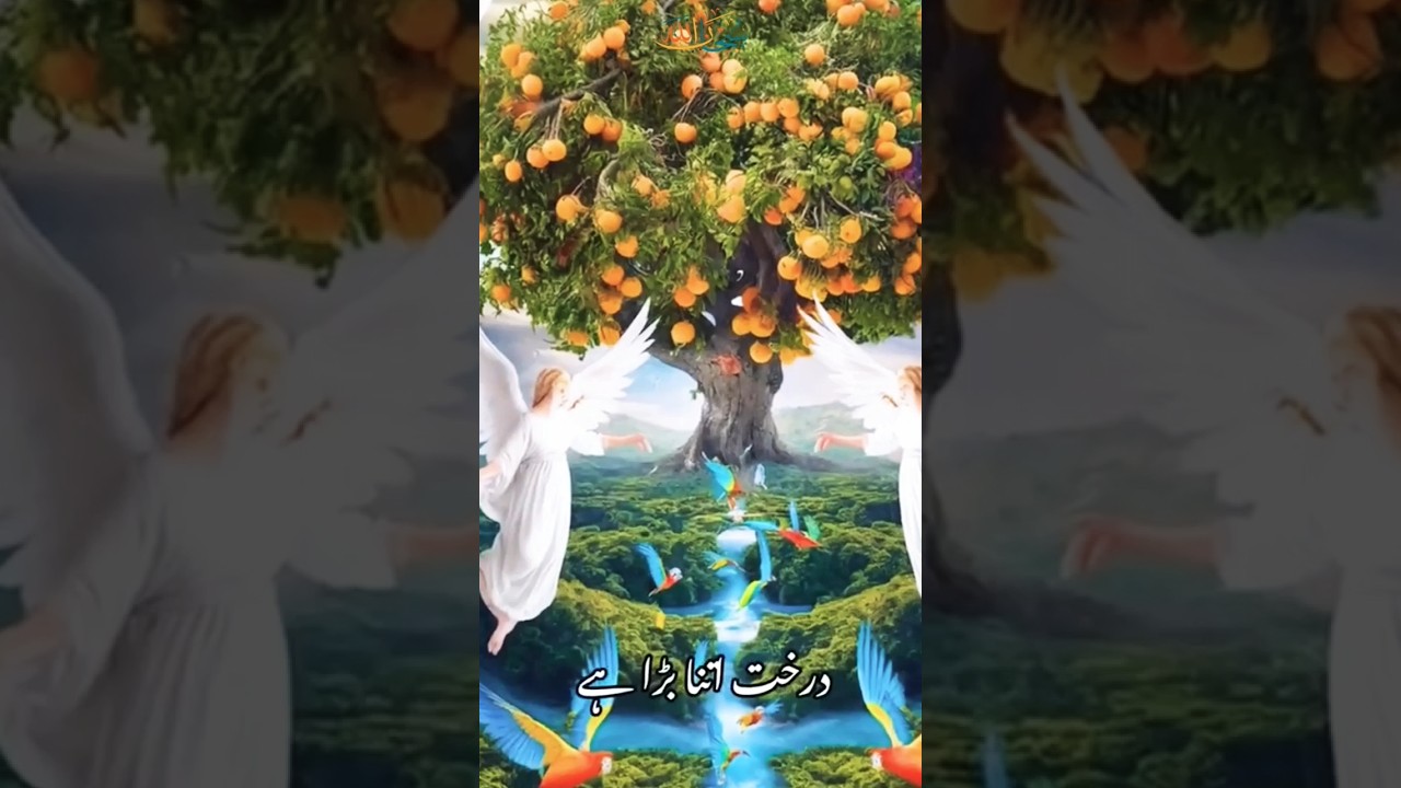 Sidratul Muntaha ka  Drakht🌳... #information #animation #ytviral  #islamicshorts #shortsfeed