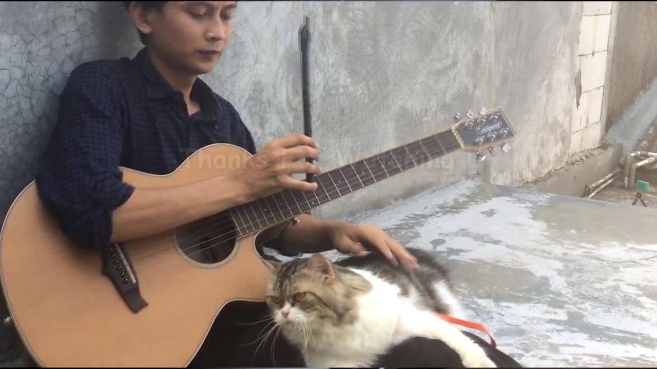 Damai Bersamamu _ Instrumental By Andios