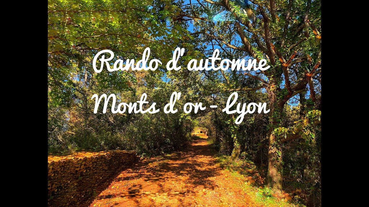 Randonnée d'automne dans les Monts d'or (Lyon)