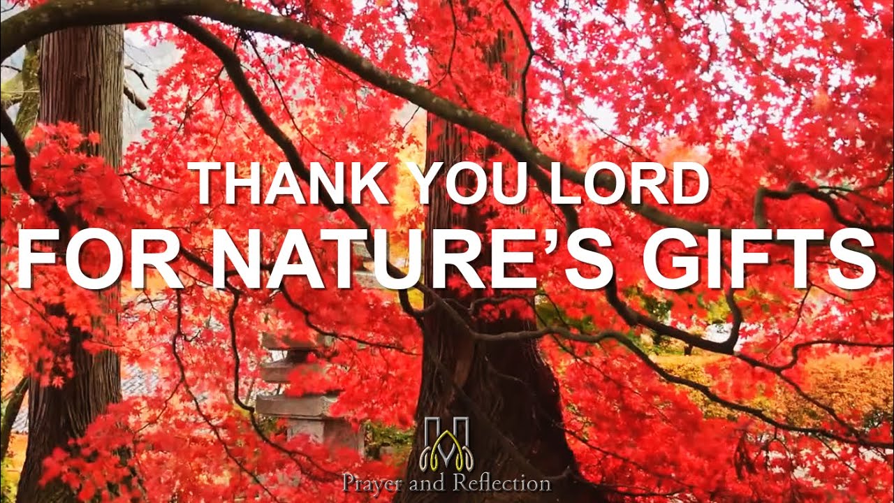 Prayer and Reflection | Thank You Lord, For Nature's Gifts