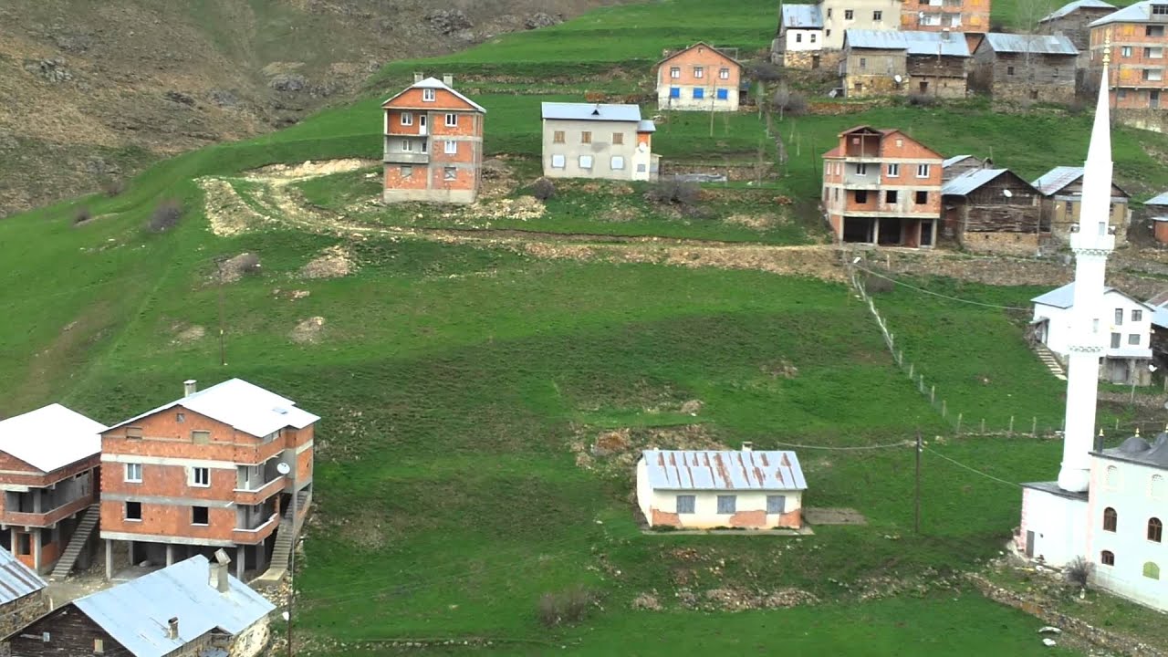 Orenler koyu Gumushane  Mayis 2012