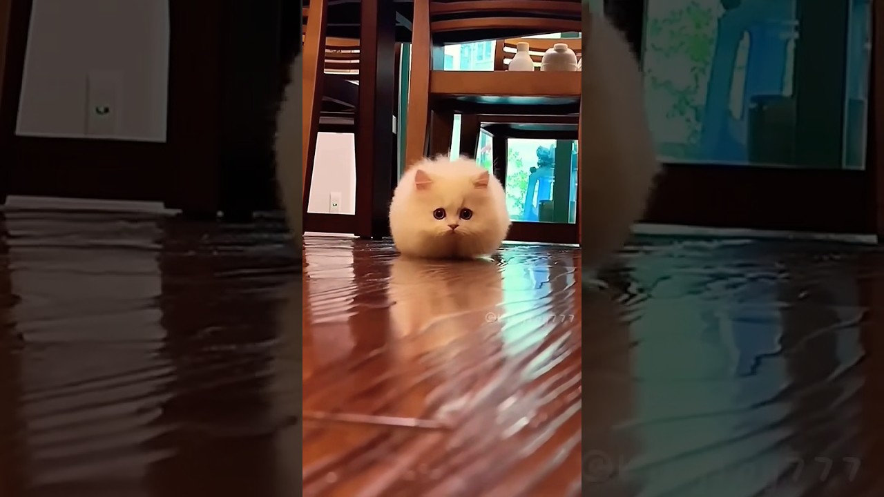 New Cool Tool!🥰 New Viral Gadgets, Smart Kichen Appliances, Tolls, Utensils, HomeCleaning 