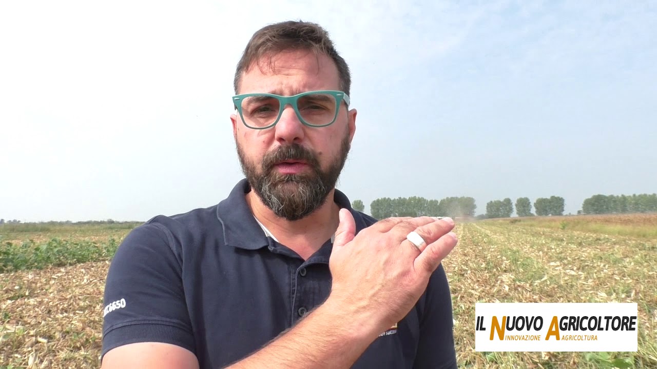 Il mais DKC 5830 di Dekalb alla Kverneland Academy 2019