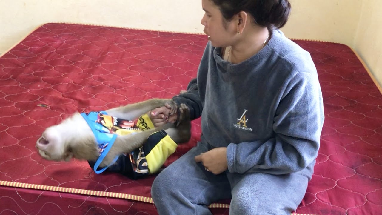 Clever Jason Pull Hand Beg Mom To Stop Complain When Throw Stuff