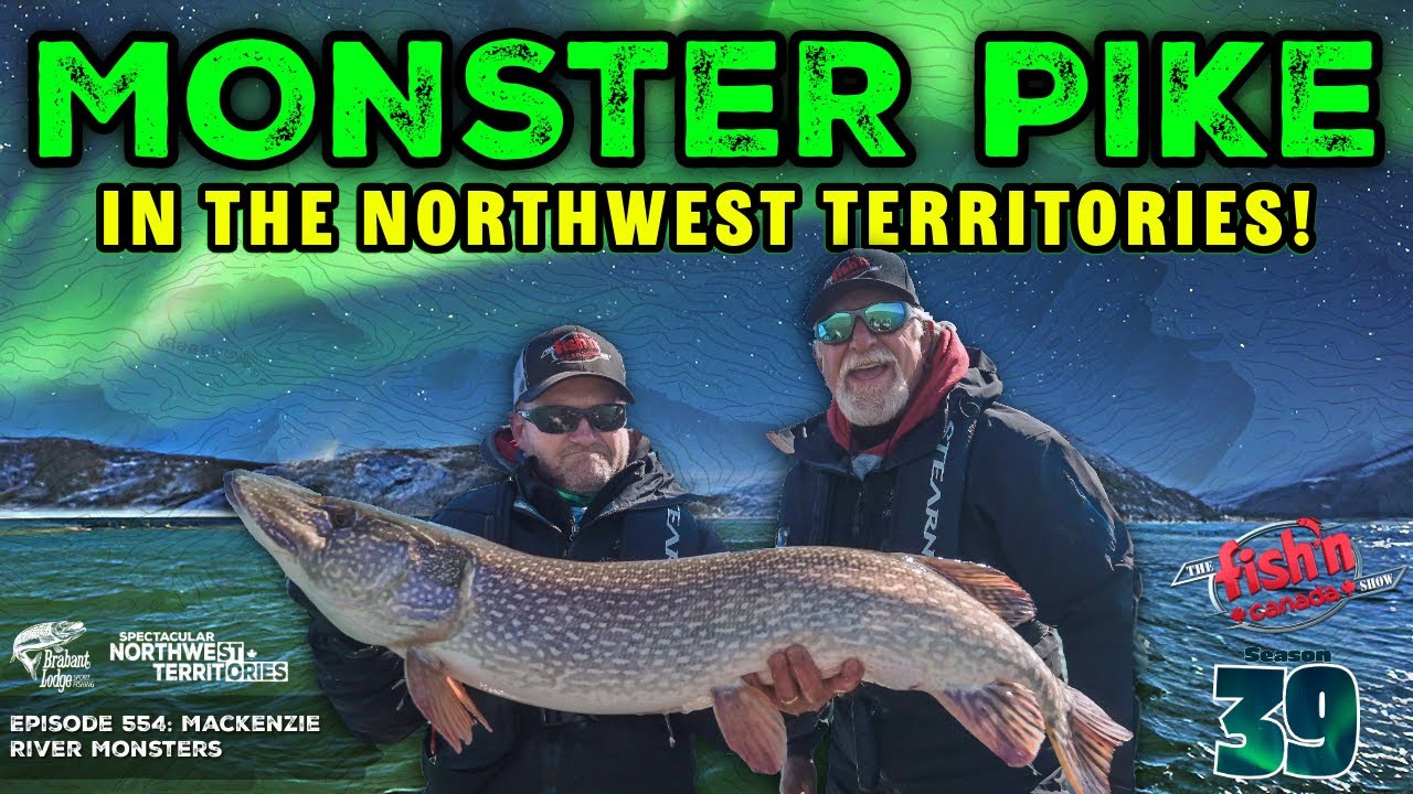 Northwest Territories MONSTER Pike – Biggest of the Year?