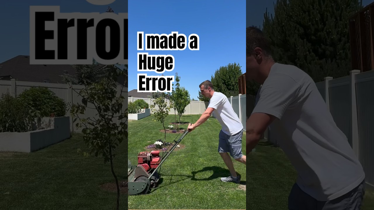 Leveling my lawn using sand, I made a huge error