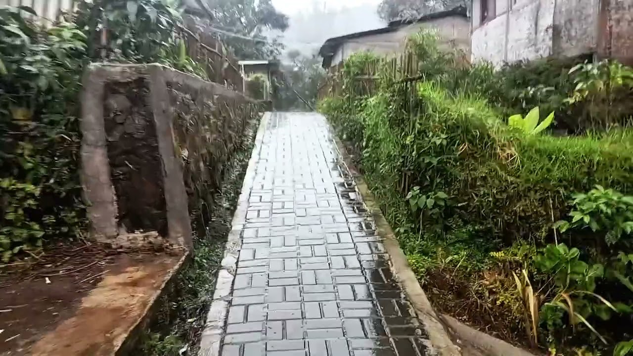 WALKING RAIN vibes  💦💦😶‍🌫️