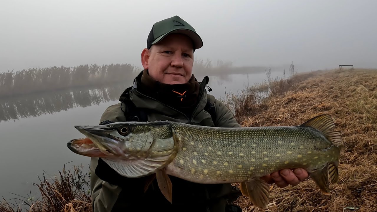 Fluss-Hecht angeln im Winter Hardbait oder Softbait Große oder kleine Köder ?