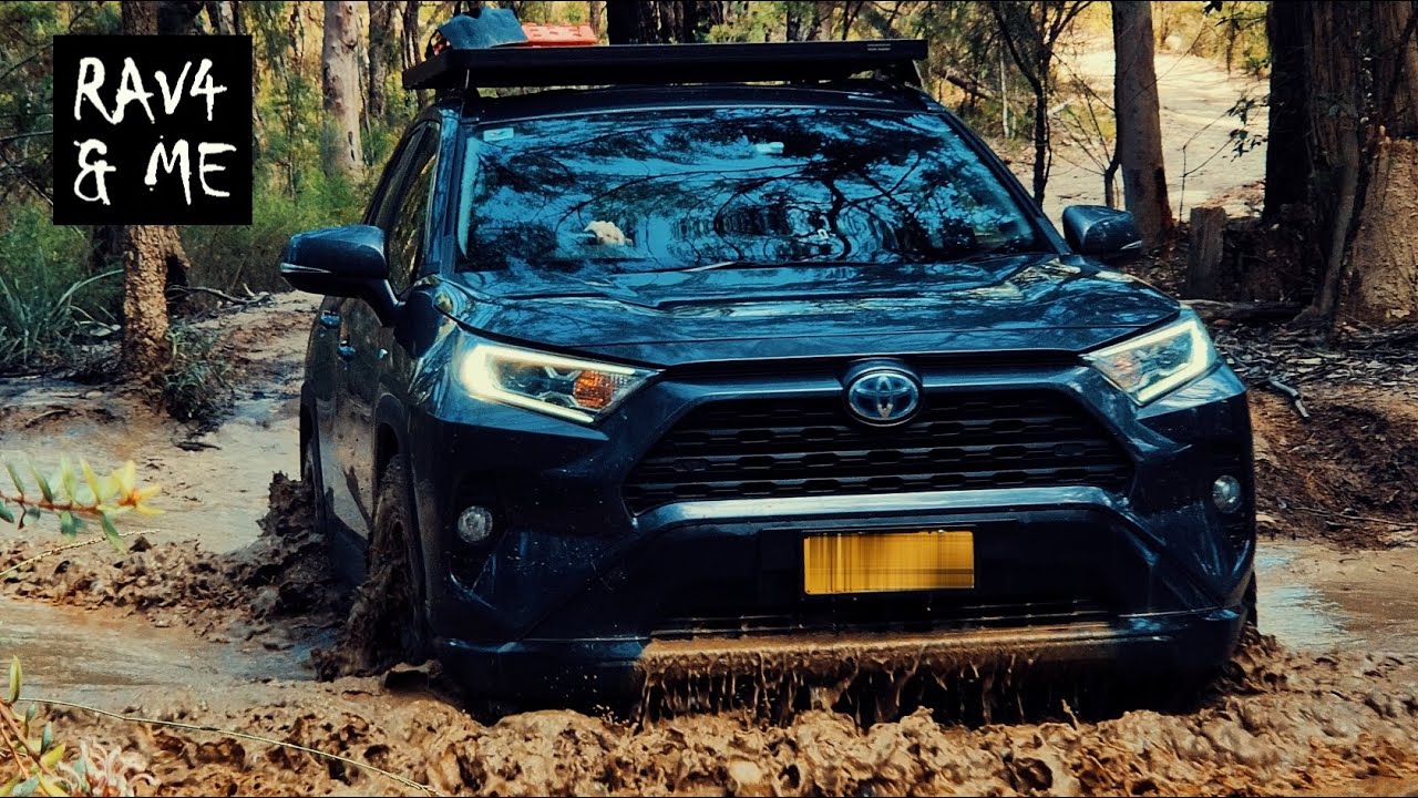 RAV4 Hybrid on a FLOODED track in the WILDERNESS #RAV4 #ASMR