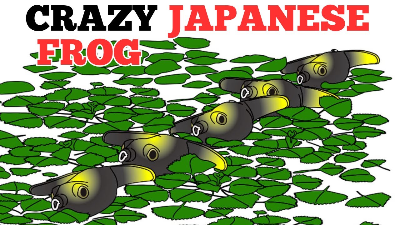 JAPANESE TOPWATER BAIT THE DEPS BASIRISKY FROG