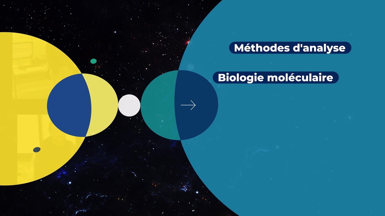 Methodes d'analyse - Biologie moléculaire
