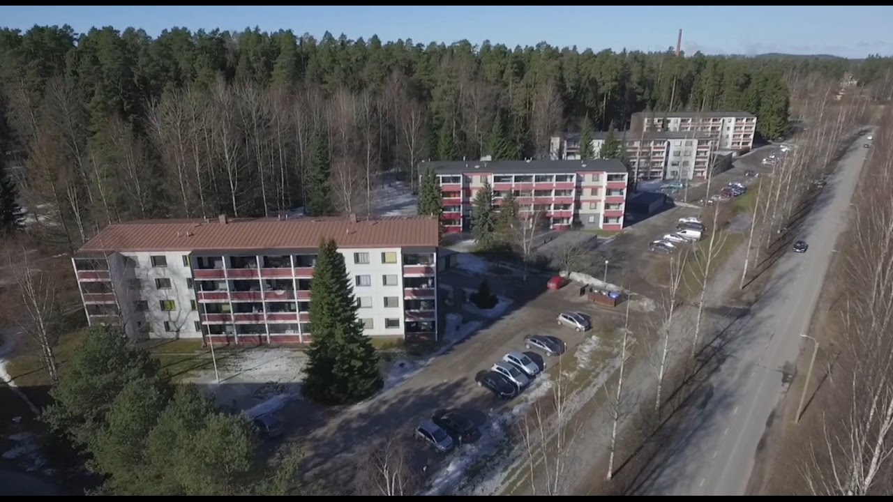 Asuinalueen esittely. Tervakoski, Janakkala.