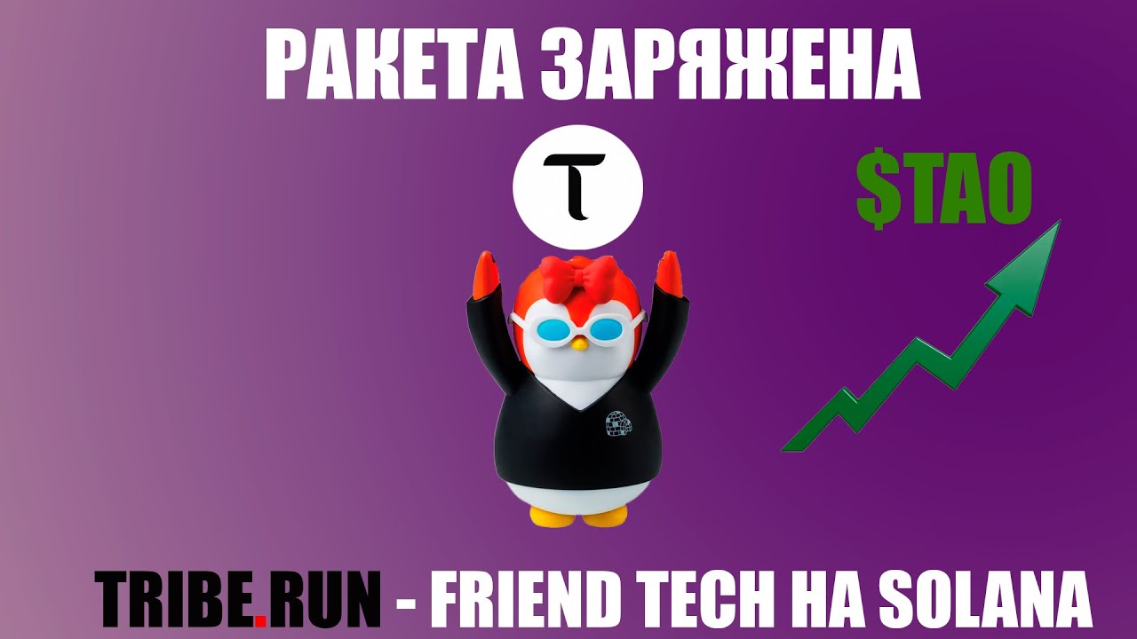 $TAO УЛЕТИТ В КОСМОС! ОБЗОР Tribe.RUN - НОВЫЙ FRIEND TECH НА SOLANA.