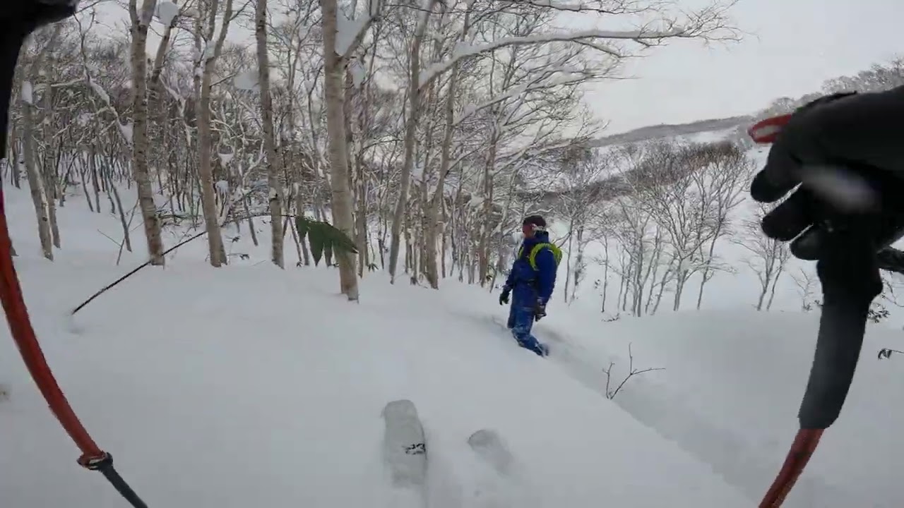 202601 09 Day 17-Japow Sking At Niseko, Japan